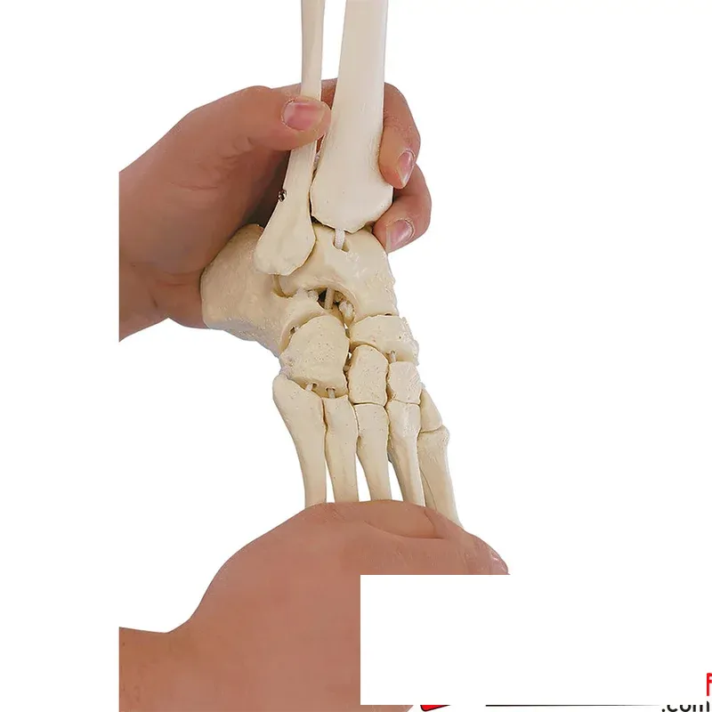 2026_07_10_639842