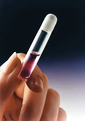 cls-med20260710170648639615