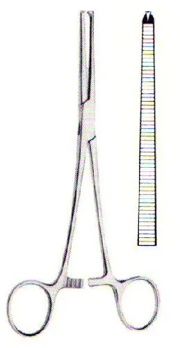 cls-med20260710175507649988
