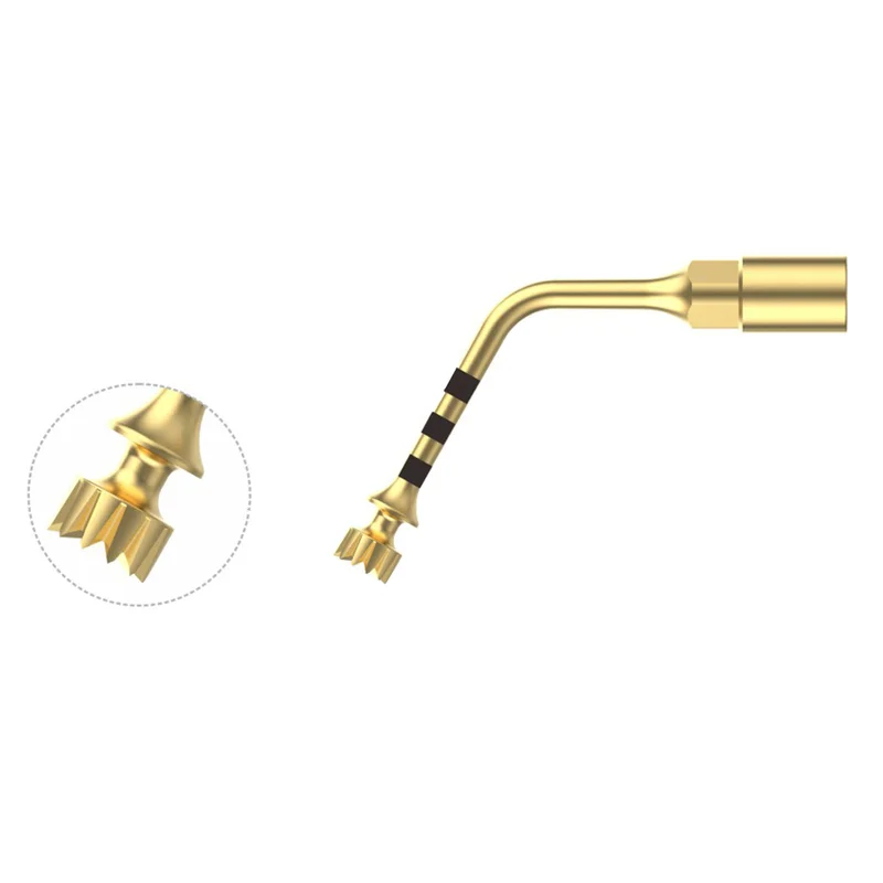denta-tec-120260710192456670258