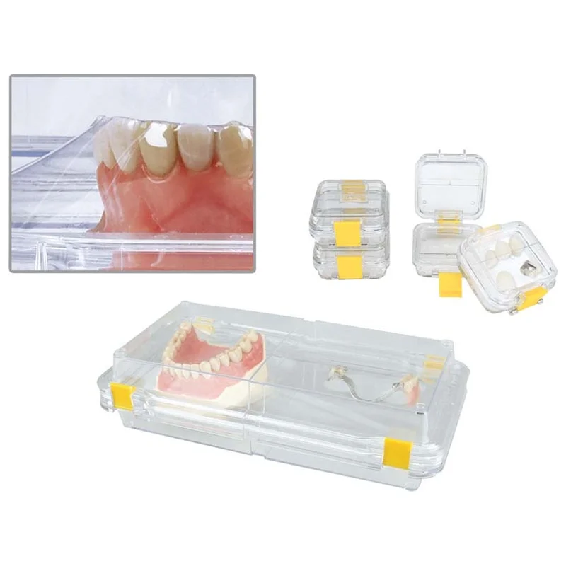 denta-tec-120260710211340690543
