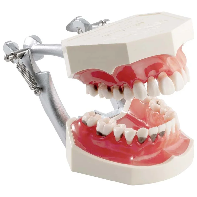 denta-tec-120260710212300692067