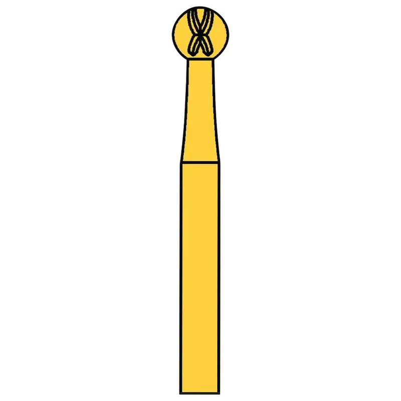 denta-tec-120260710222514702888