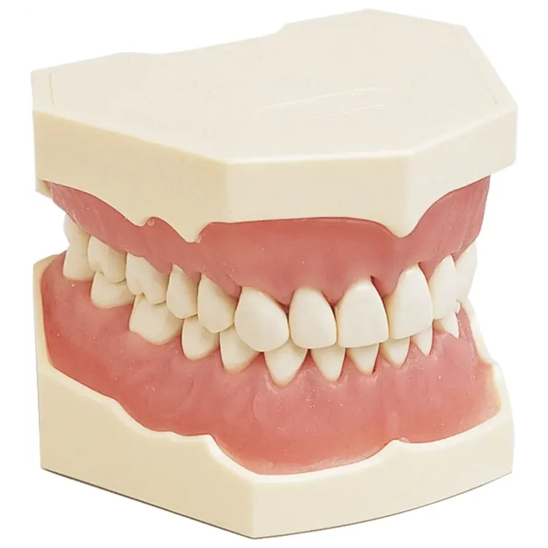 denta-tec-120260711000705720406
