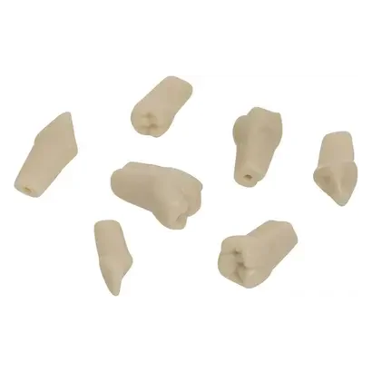 denta-tec-120260711000728720475