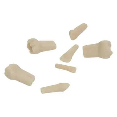 denta-tec-120260711000803720573