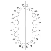 denta-tec-120260711000809720593