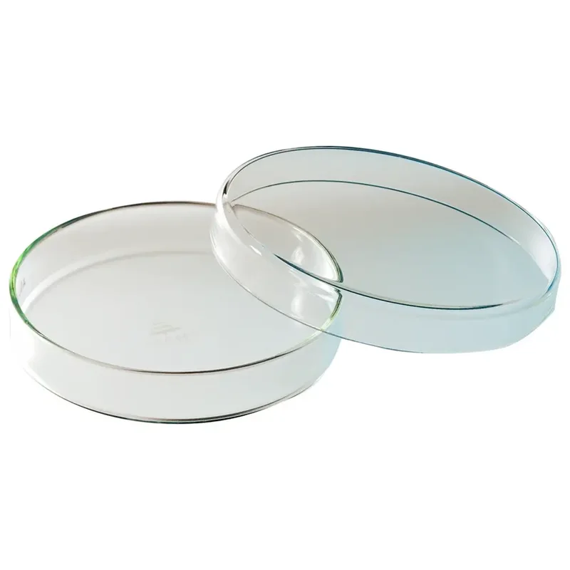 denta-tec-120260711001420721724