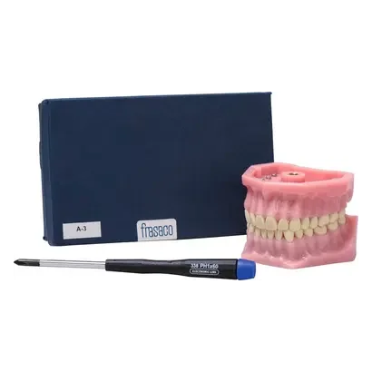 denta-tec-120260711004405726799