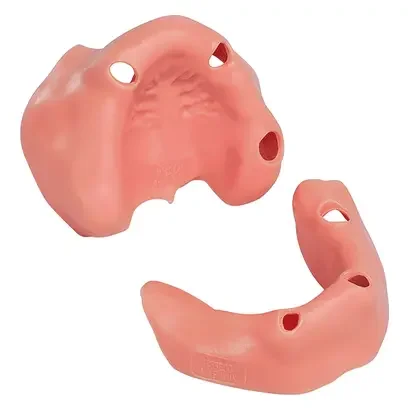denta-tec-120260711004408726810