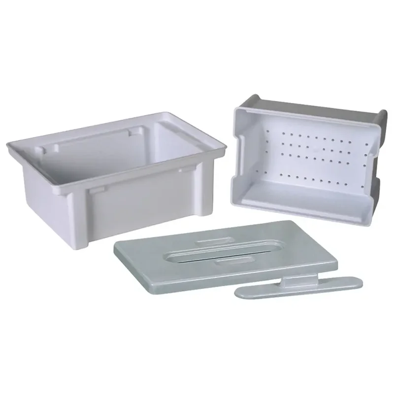 denta-tec-120260711023028744012