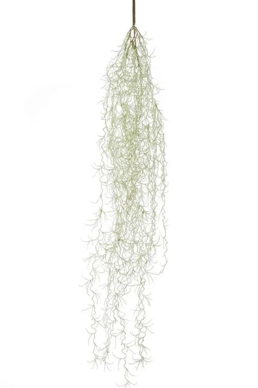 denta-tec-120260711030917747367