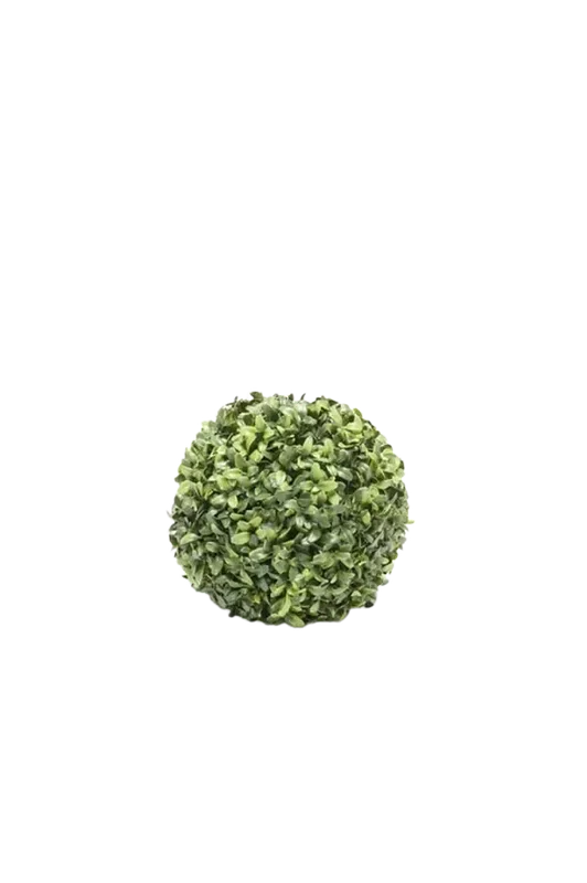 denta-tec-120260711033259749915