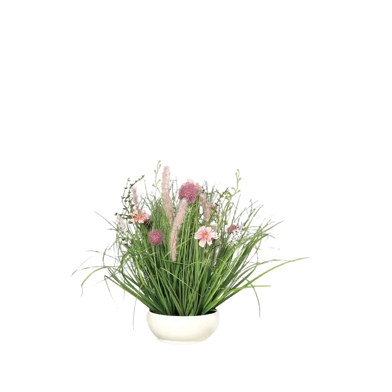 denta-tec-120260711033337750012