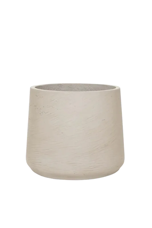 denta-tec-120260711033438750152
