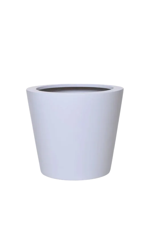 denta-tec-120260711033451750183