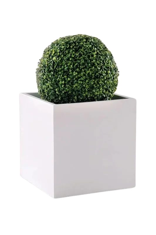 denta-tec-120260711033630750394