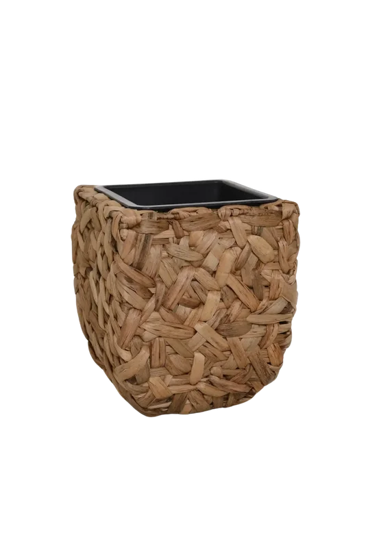 denta-tec-120260711033701750462