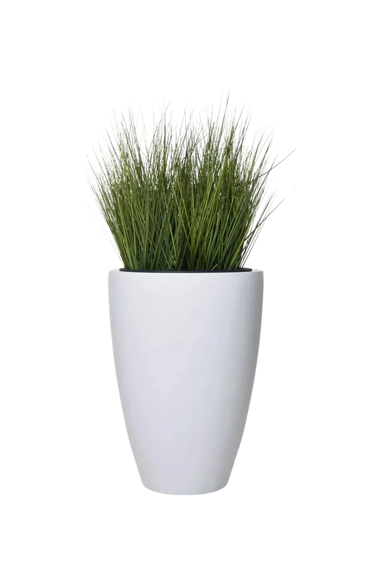 denta-tec-120260711033736750535