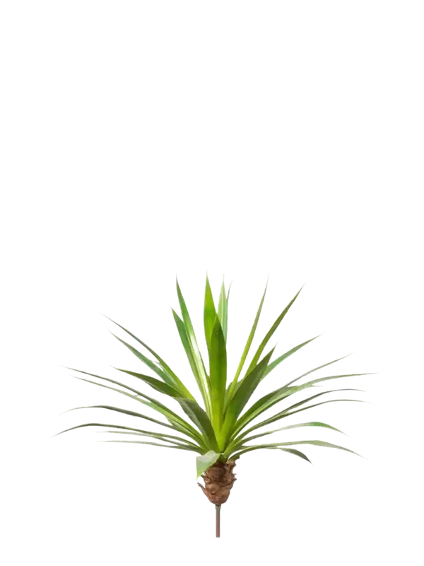 denta-tec-120260711034618751500