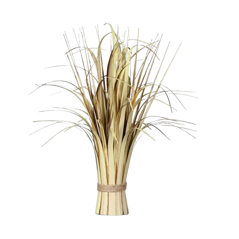 denta-tec-120260711034801751693