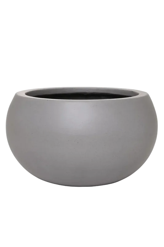 denta-tec-120260711034955751904