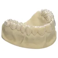 denta-tec-120260711043620759753