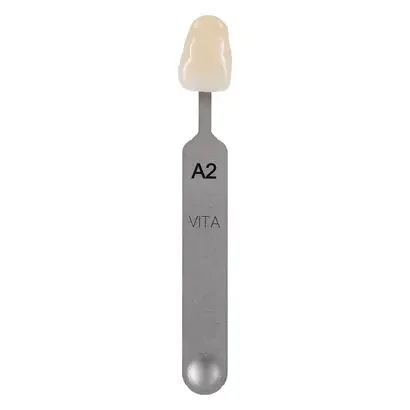 denta-tec-120260711051753766464