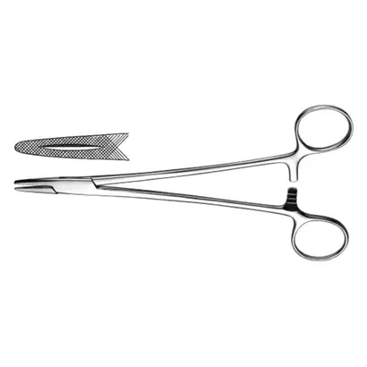 denta-tec-120260711054259770314