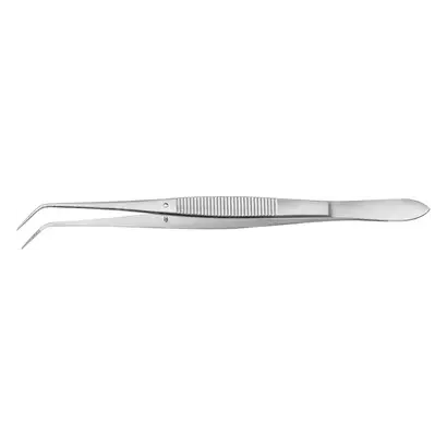 denta-tec-120260711055623772336