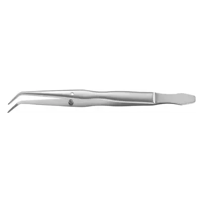 denta-tec-120260711060642773942