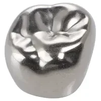 denta-tec-120260711062202776237