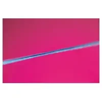 denta-tec-120260711062311776371