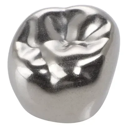 denta-tec-120260711063101777301