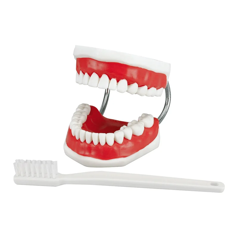 denta-tec-120260711070454782131