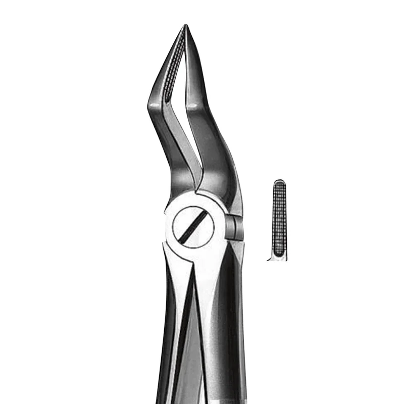 denta-tec-120260711110145810512
