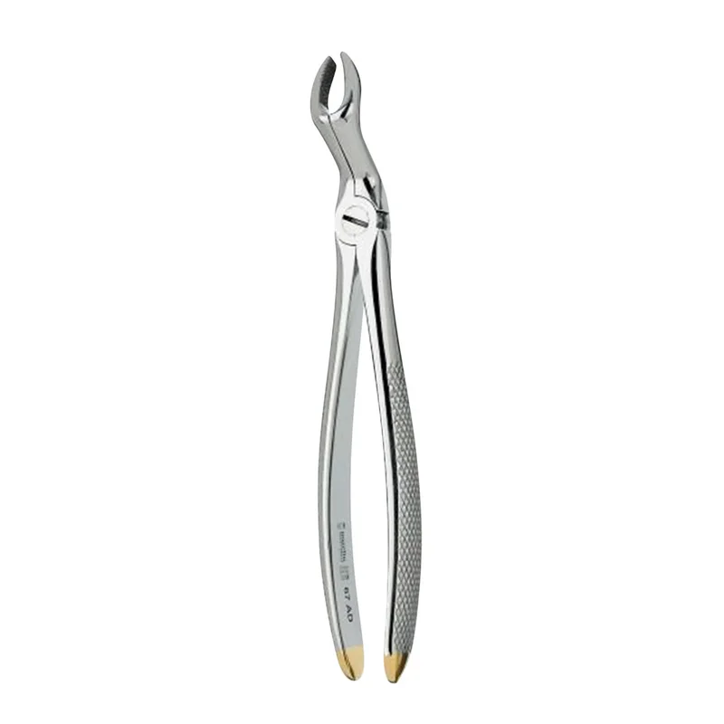 denta-tec-120260711110733811274