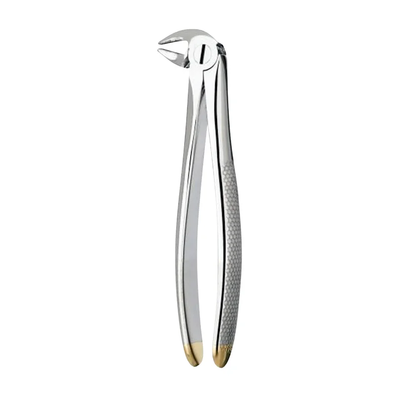 denta-tec-120260711112419813456