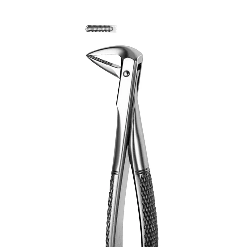 denta-tec-120260711113058814320