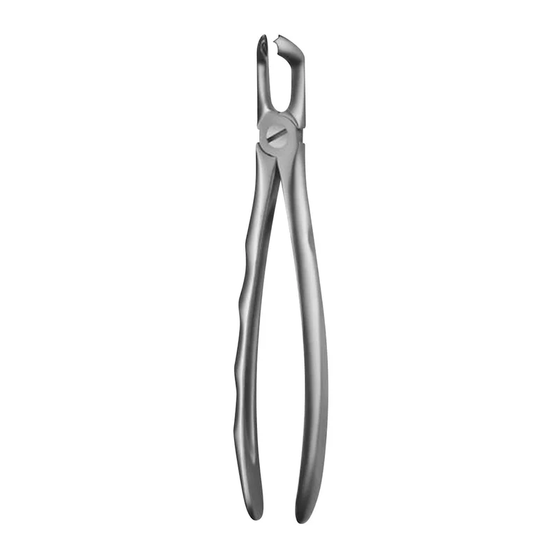 denta-tec-120260711114915816814