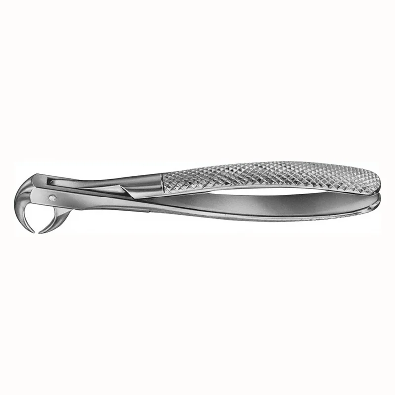 denta-tec-120260711115817818101