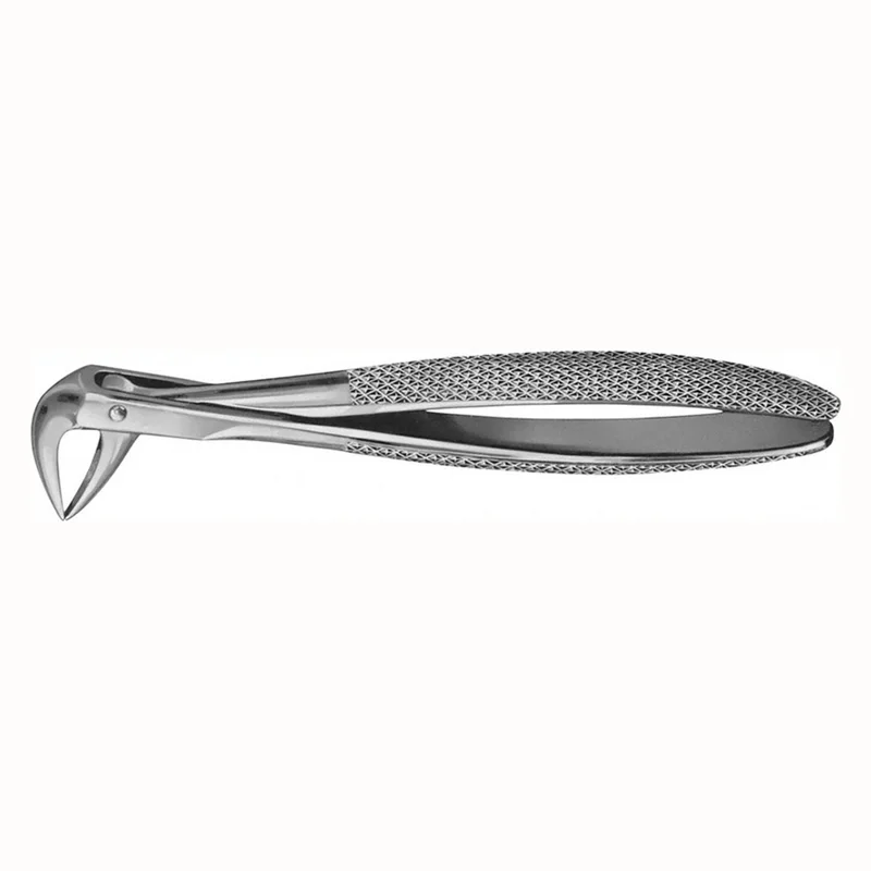 denta-tec-120260711120243818688