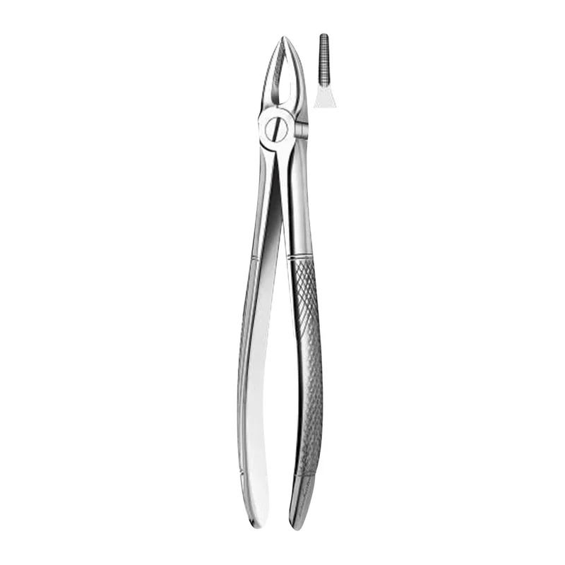 denta-tec-120260711122625821611