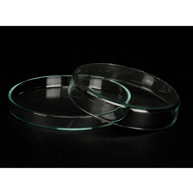 denta-tec-120260711123950823502