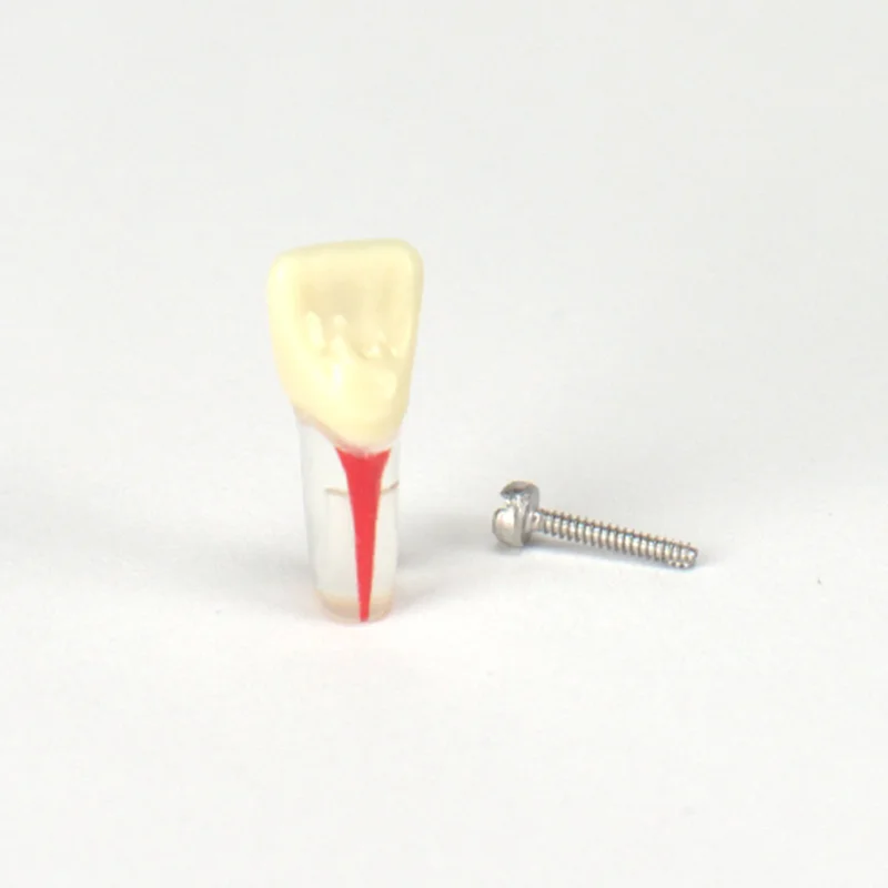 denta-tec-120260711124757824589