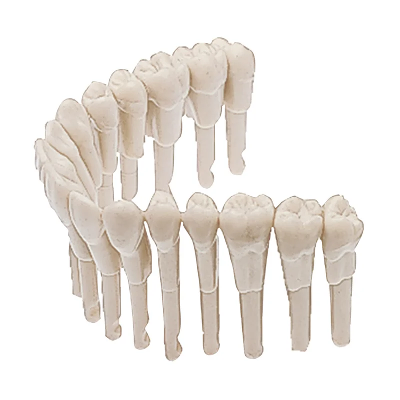 denta-tec-120260711132000828662