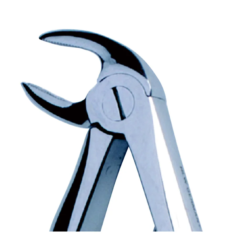 denta-tec-120260711141150834057
