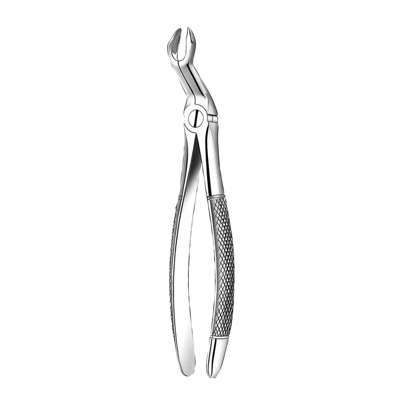 denta-tec-120260711144604836514