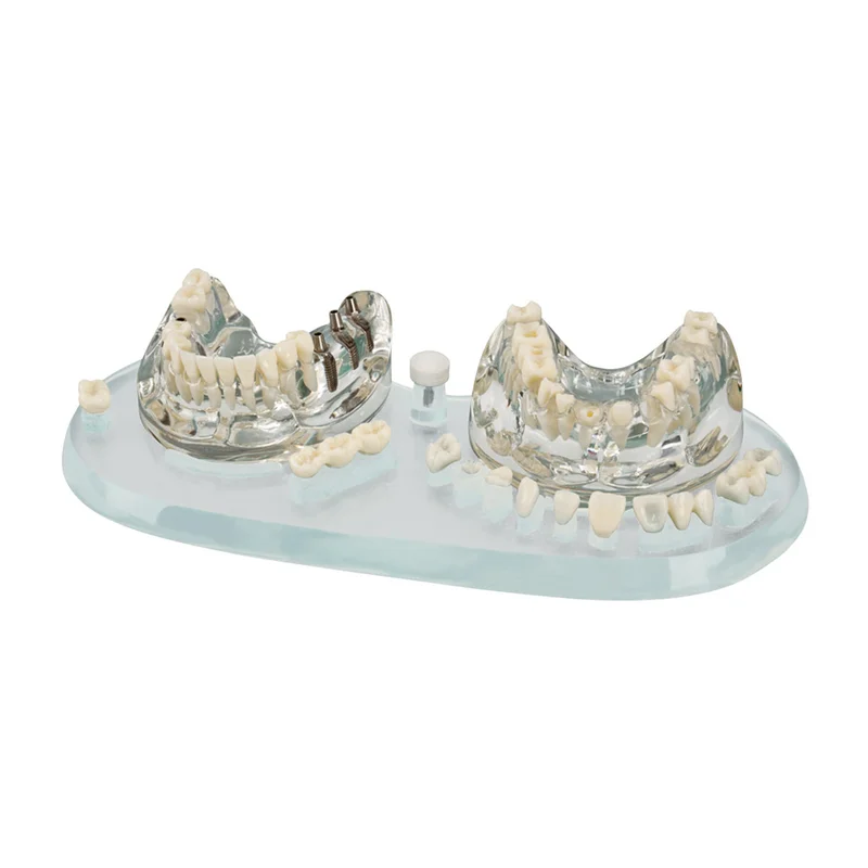denta-tec-120260711215555875688