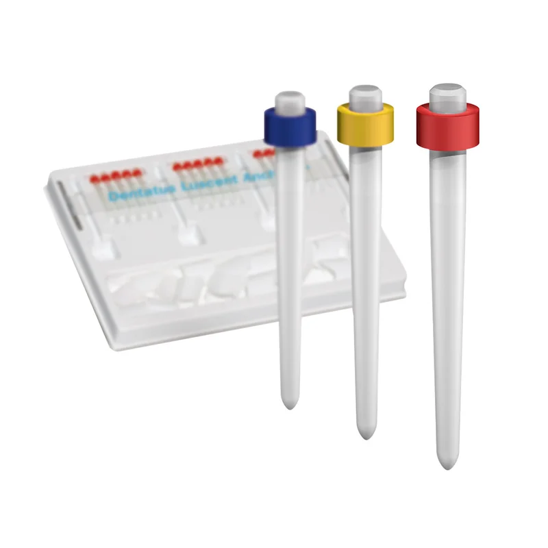 denta-tec-120260712085824937253